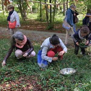 Promenades à déguster, cueillettes de plantes sauvages