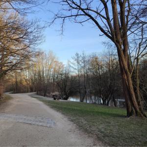 Forêt de Bondy RB1