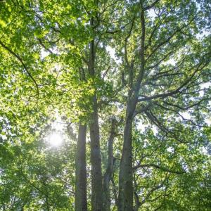Qui mange qui ? Balade au coeur des chaînes alimentaires au parc de la Poudrerie