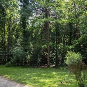 Qui mange qui ? Balade au coeur des chaînes alimentaires au parc de la Poudrerie