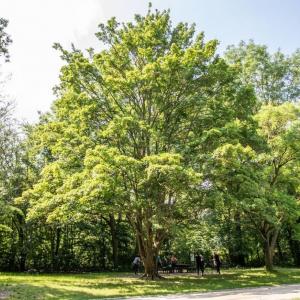 Qui mange qui ? Balade au coeur des chaînes alimentaires au parc de la Poudrerie