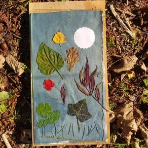 Atelier Nature & Cyanotype