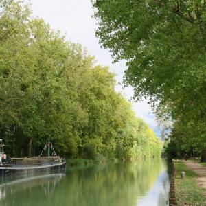 Grande marche nocturne - Une randonnée de 10km sur les bords de Marne