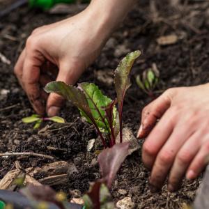 Atelier jardinage et balade verte au Jardin21