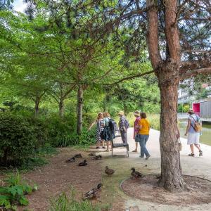 © parc de Billancourt 