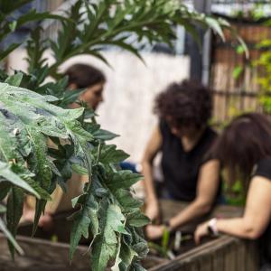 Atelier création d'empreintes végétales au Jardin21