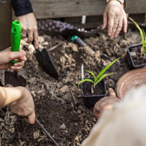 Atelier de jardinage pour enfants : Les petits jardiniers du Jardin21