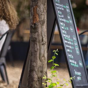 Atelier enquête au Jardin21 : la chasse aux histoires