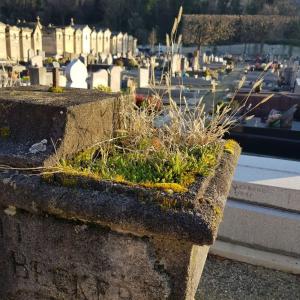 cimetière de Pantin