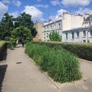 Visite dessinée sur la Coulée verte : le patrimoine végétal de Paris