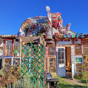Petit déjeuner et découverte d’un jardin urbain collectif et solidaire - Biennale Multitude