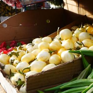 Découverte et dégustation des trésors culinaires du Marais à la Goutte d’Or