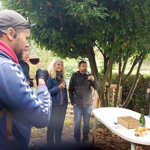 Rando à vélo : Bords de Marne et viticulture