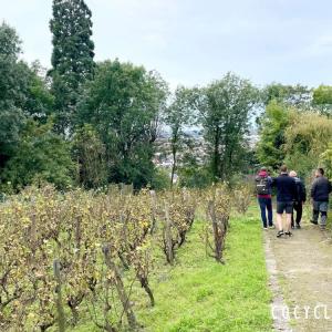 Rando à vélo : Bords de Marne et viticulture
