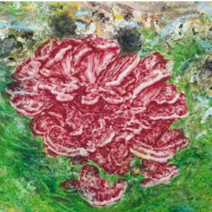 Homo salvaticus : l’artiste Ilan Parienté expose à Fontenay-aux-Roses