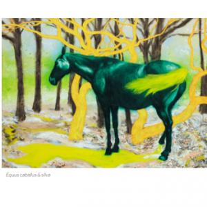 Equus caballus & sIlva © Ilan Parienté