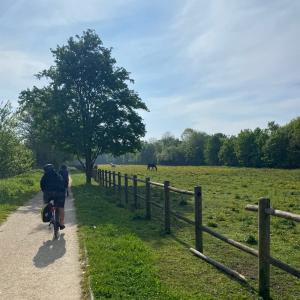 Tour à vélo le long de l’Yerres