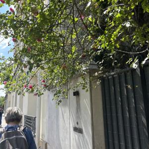 La Traversée : randonnée culturelle de Fontenay à Paris