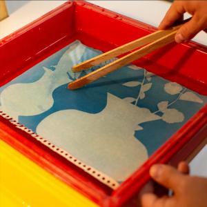 Découverte de la photo ancienne grâce au cyanotype - Biennale Multitude
