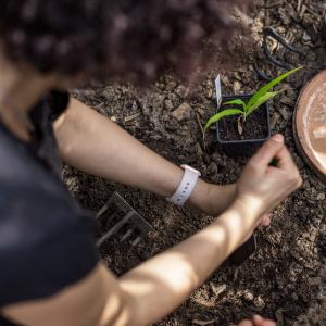 Atelier jardinage au Jardin21 : activités pépinières (semis et rempotage)