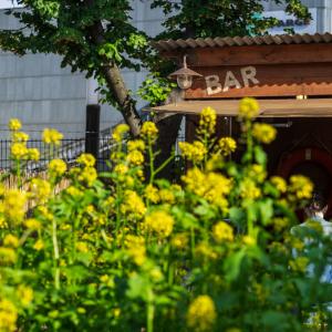 Atelier herbier au Jardin21: récolter des plantes et les préparer au séchage