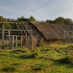 La maison néolithique 
