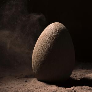 Atelier photographique des chocolats d’exception - Biennale Multitude