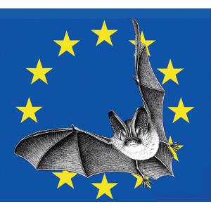 La Nuit Internationale de la Chauve-Souris.