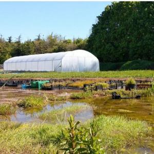 Chantier « Jardin sauvage » avec la pépinière Pariciflore
