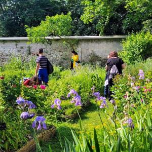Découverte des murs à pêches et de PermaMontreuil
