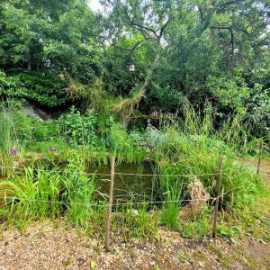 Découverte des murs à pêches et de PermaMontreuil