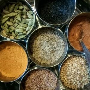 En bateau d'Aulnay + atelier cuisine indienne et sri lankaise à Bobigny