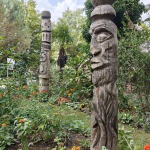 Douceur de fin d’été : atelier méditation au Jardin d’Agronomie Tropicale