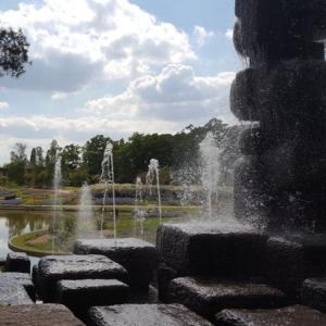 Marche et méditation au Bois - Parc Floral