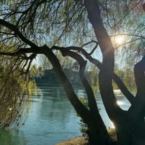 Balade des Coteaux : du Plateau aux Bords de Marne de Champigny