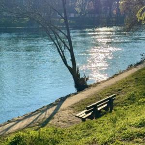 Balade des Coteaux : du Plateau aux Bords de Marne de Champigny