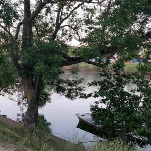 Balade nautique au coucher du soleil sur la Marne