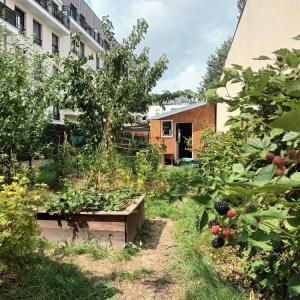 Balade urbaine sur la biodiversité dans le Sud de Paris