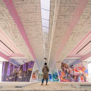 Découverte de Joinville-le-Pont :  Ses bords de Marne, fresques murales et sports nautiques