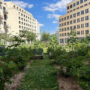 Terroir urbain, les Plantes Urbaines à Rosa Parks