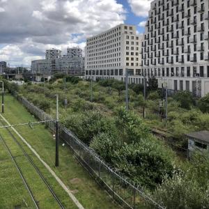 Terroir urbain, les Plantes Urbaines à Rosa Parks