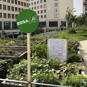 Terroir urbain, les Plantes Urbaines à Rosa Parks