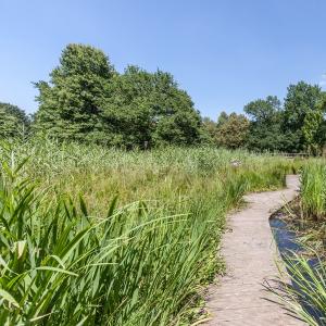 : Lecture de paysage entre foret et patrimoine architectural