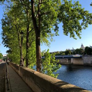 A Paris, les arbres aussi ont une histoire