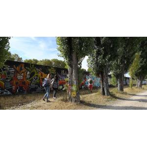 Balade street art le long de l'Ourcq : un musée à ciel ouvert