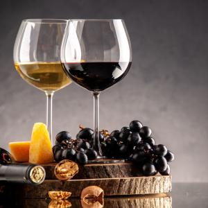 Dégustation de vin designed by Racoolstudio