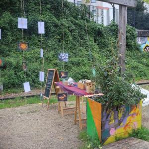 Visite du jardin 13infuz et fabrication de sirop de romarin