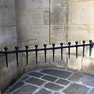 Pics et Chardons : Les détails cachés de l’architecture parisienne