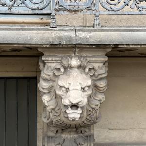 Raisin & Dauphin : Une promenade architecturale au cœur de Paris