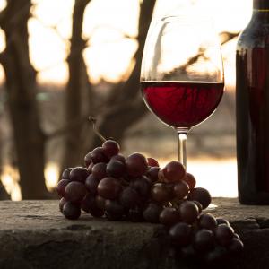 Découverte du Beaujolais nouveau à la Butinerie